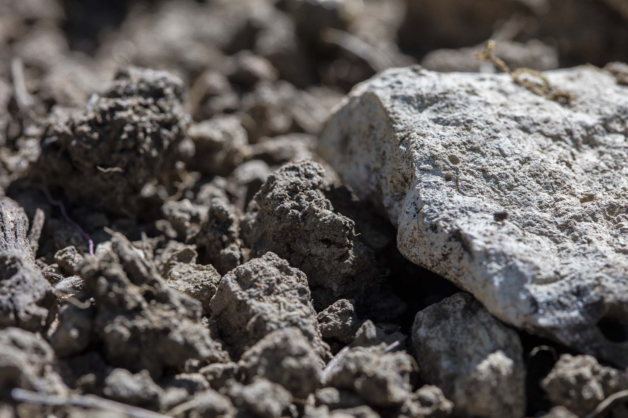 Terroir terre et pierre blanche