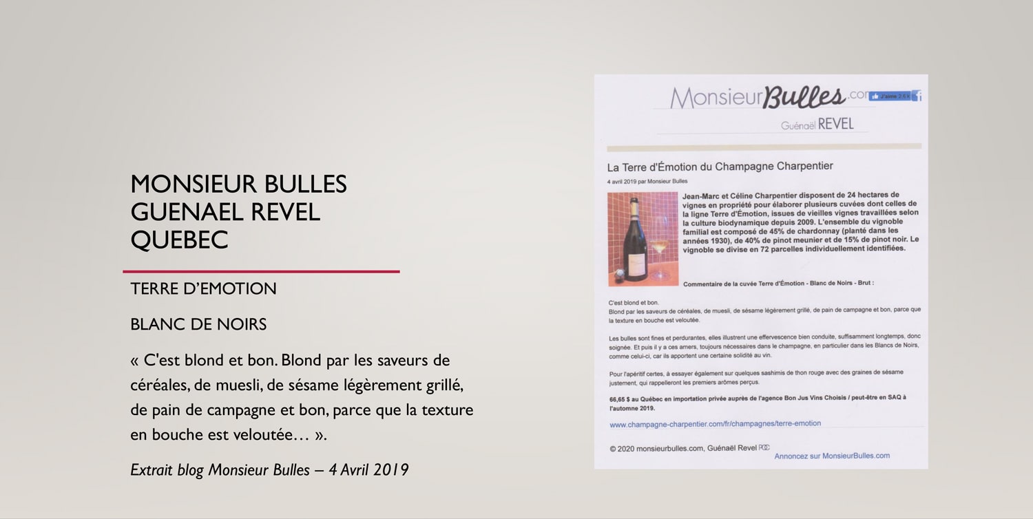 Monsieur bulles Guenael Revel Quebec